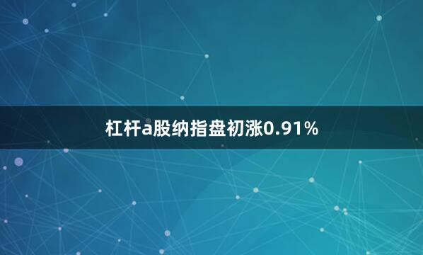 杠杆a股纳指盘初涨0.91%