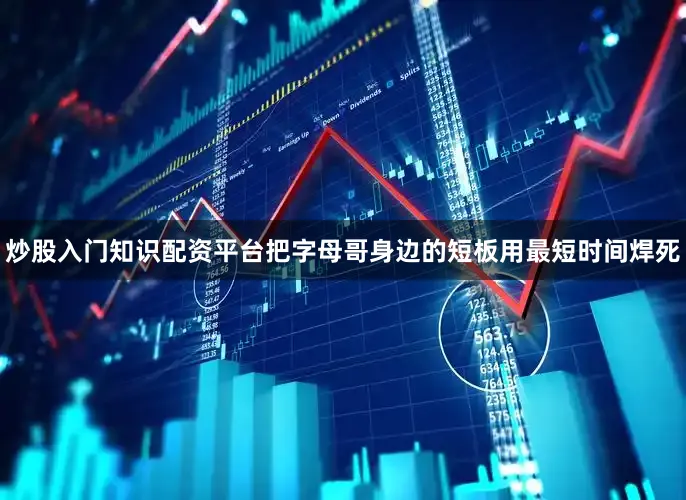 炒股入门知识配资平台把字母哥身边的短板用最短时间焊死